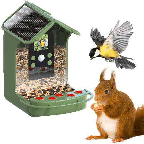 Easypix BirdyCam Mangiatoia con Macchina Fotografica