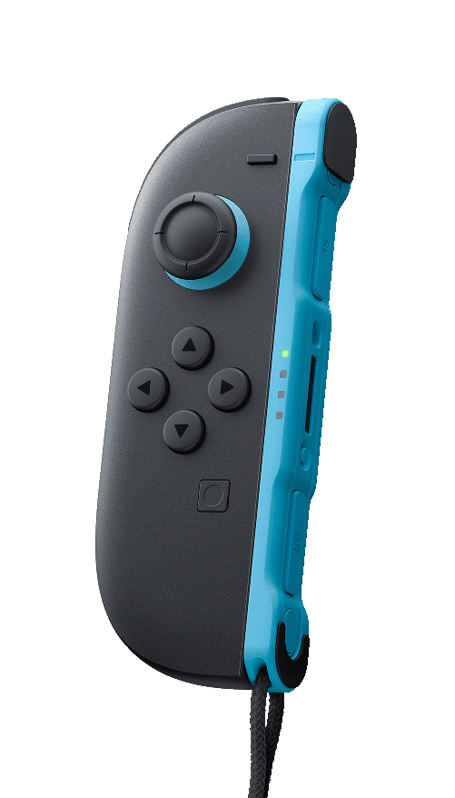 Nintendo 10015100 periferica di gioco Nero, Blu