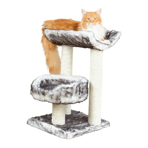 Trixie Tiragraffi per Gatti Trixie 44567 Albero Sisal Nero Ø 8 cm 62 cm 36 x 36 cm