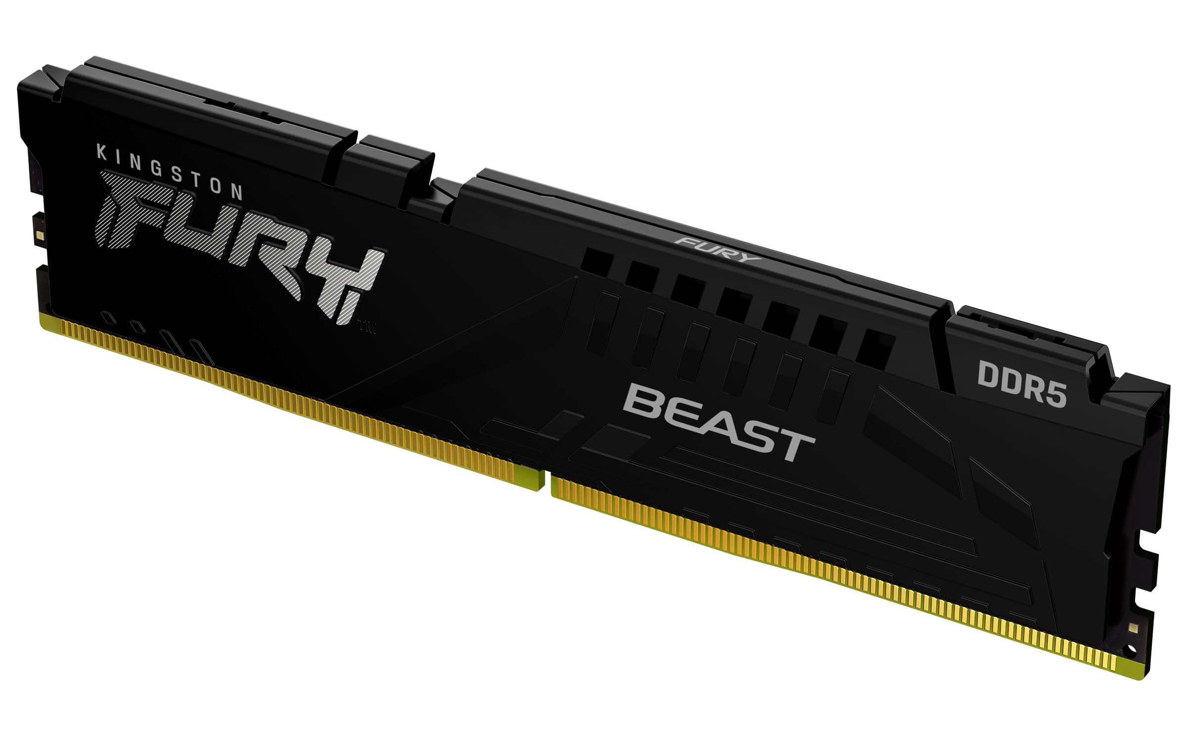 Kingston Technology FURY Beast 16 GB 5600 MT/s DDR5 CL36 DIMM Black