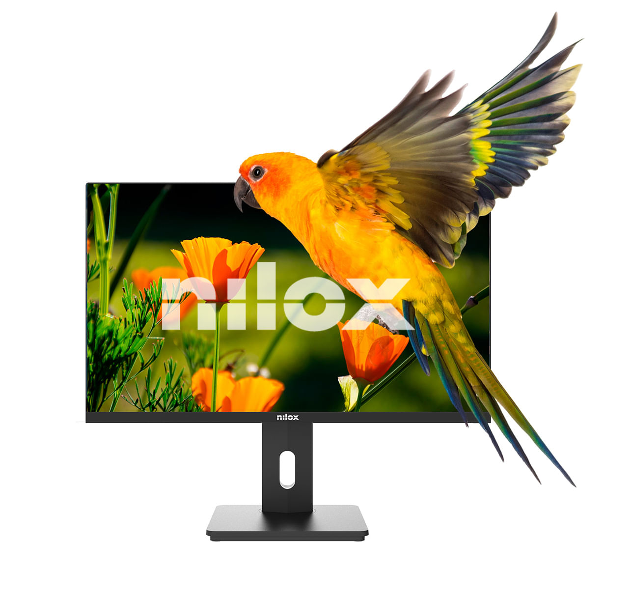 Nilox NXM24REG02 Monitor PC 61 cm (24") 1920 x 1080 Pixel Full HD LED Nero