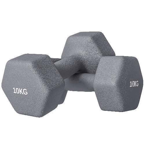 SPORTNOW Set 2 Manubri Esagonali da 2x10 kg in Metallo e Plastica con Impugnatura Antiscivolo, 26x12x12 cm