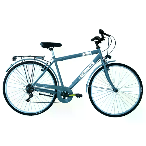 MASCIAGHI Bici per Adulti Bicicletta 28 Pollici Uomo City Bike Grigio