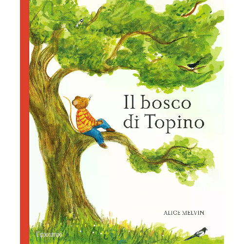 Il Bosco Ti Topino un Anno Nella Natura
