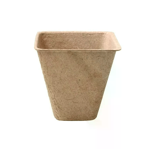 GIODICART Vaso Quadrato in Cartone Biodegradabile, Set 20 Pezzi