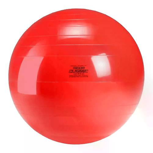 Grande Palla Per Psicomotricità Gymnic Ball cm. 55