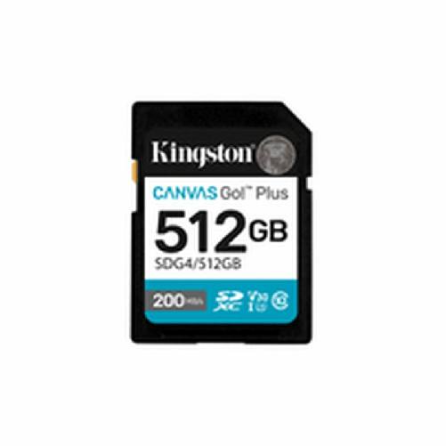 Kingston Scheda Di Memoria Micro SD con Adattatore Kingston SDG4/512GB 512 GB