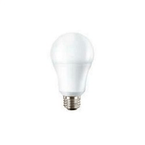 PHILIPS LIGHTING Philips lampadina led 100w e27 a60 luce calda non dimmerabile frosted
