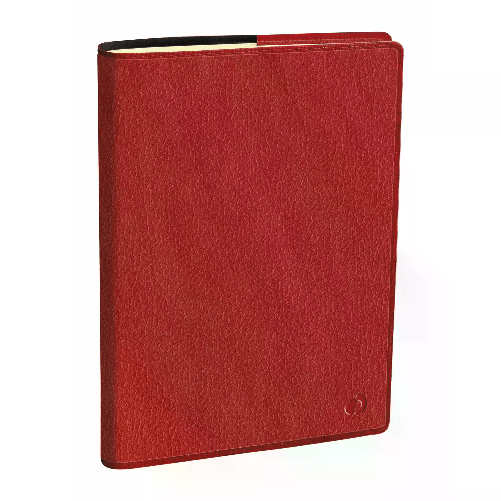 Quo Vadis Agenda AFFARI Lingua italiana Anno 2025 Colore Bordeaux Formato 10x15cm Settimanale 13 Mesi