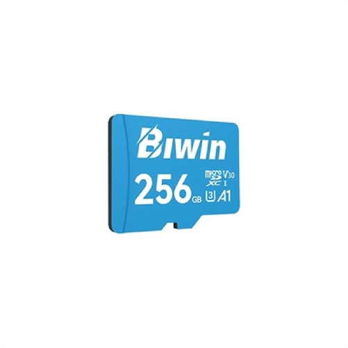 Scheda Di Memoria Micro SDXC Biwin MS100 256 GB