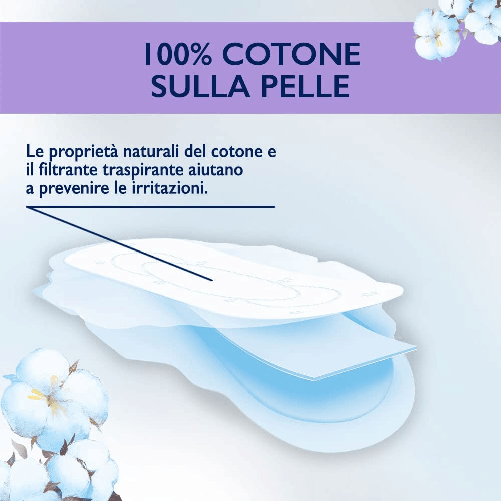 lines - cotone bio