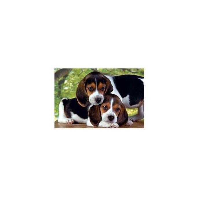 Clementoni Close Together Puzzle 500 pz Fauna