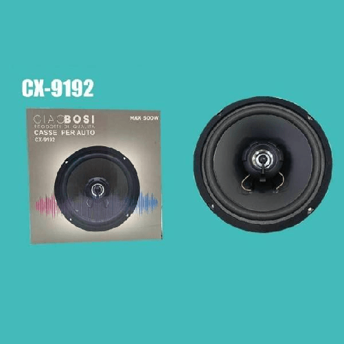 Cassa Singola Altoparlante Max 500 Watt Woofer Per Auto Cx-9192 -