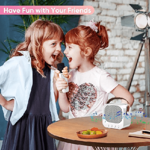 Sistema Karaoke Bluetooth Con Microfono Altoparlante Portatile Con Maniglia Audio -