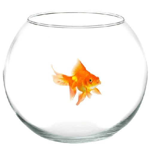 Trade Shop Traesio-ampolla Boccia Per Pesci In Vetro 12 Cm Acquario Pesce Rosso Centrotavola -