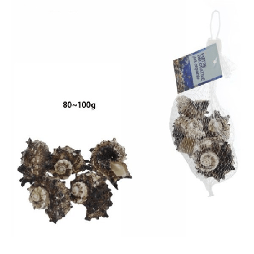 Trade Shop Traesio-sacchetto Di Conchiglie Mare Da 80-100gr Decorazione Arredo Per Acquario 70288 -