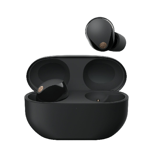 Sony WF-1000XM5 Cuffie Wireless con Noise Cancelling- Durata della batteria fino a 24 ore - Nero (Wf-1000Xm5 Headset Wir