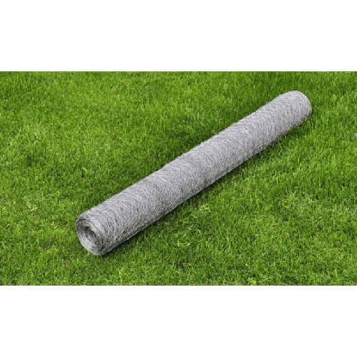 Recinzione in Rete per Pollaio Acciaio Zincato 25x0,5 m Argento