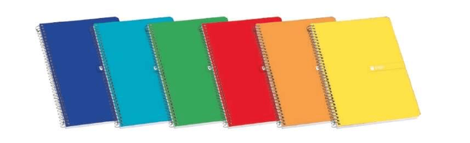 Enri Plus Quaderno Spirale Formato Folio Quadrato 4x4mm - 80 Fogli 60gr con Margine - Copertina Rigida - Colori Assortiti