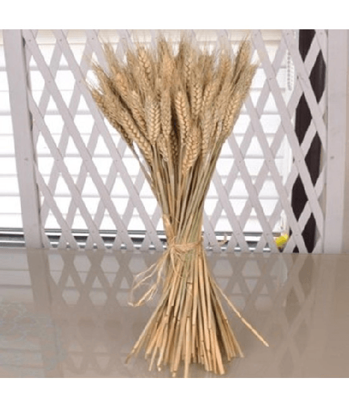 Trade Shop Traesio-spighe Di Grano Fascio 80 Pezzi Colore Naturale Artificiali H92cm Decorazione -