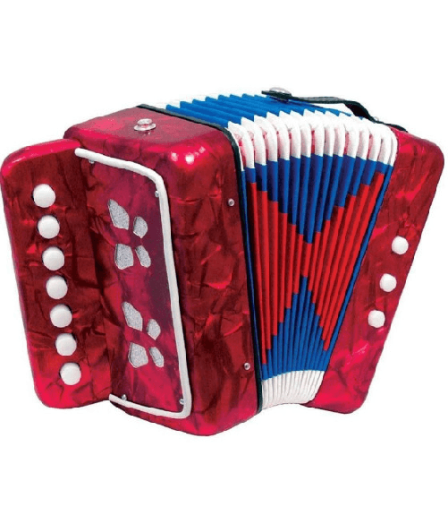 Trade Shop Traesio Il Mio Primo Organetto - Fisarmonica 3 Bassi per Bambini