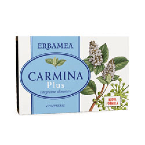CARMINA PLUS 24 COMPRESSE 19,2 G