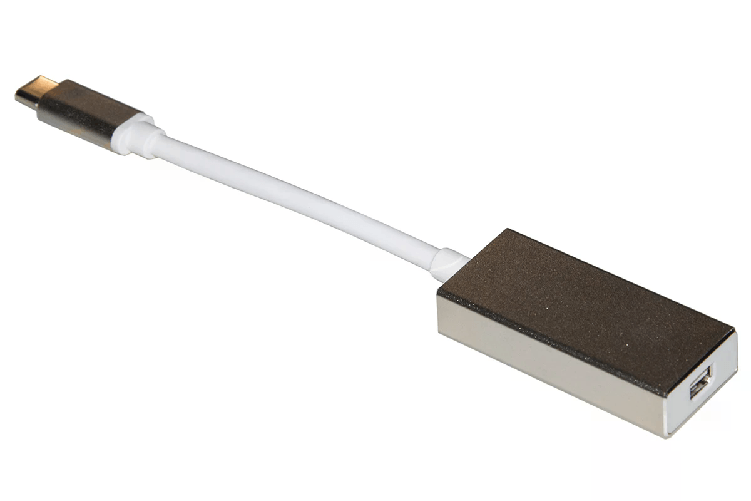 Link Adattatore Usb Tipo C Maschio a Mini Displayport Femmina