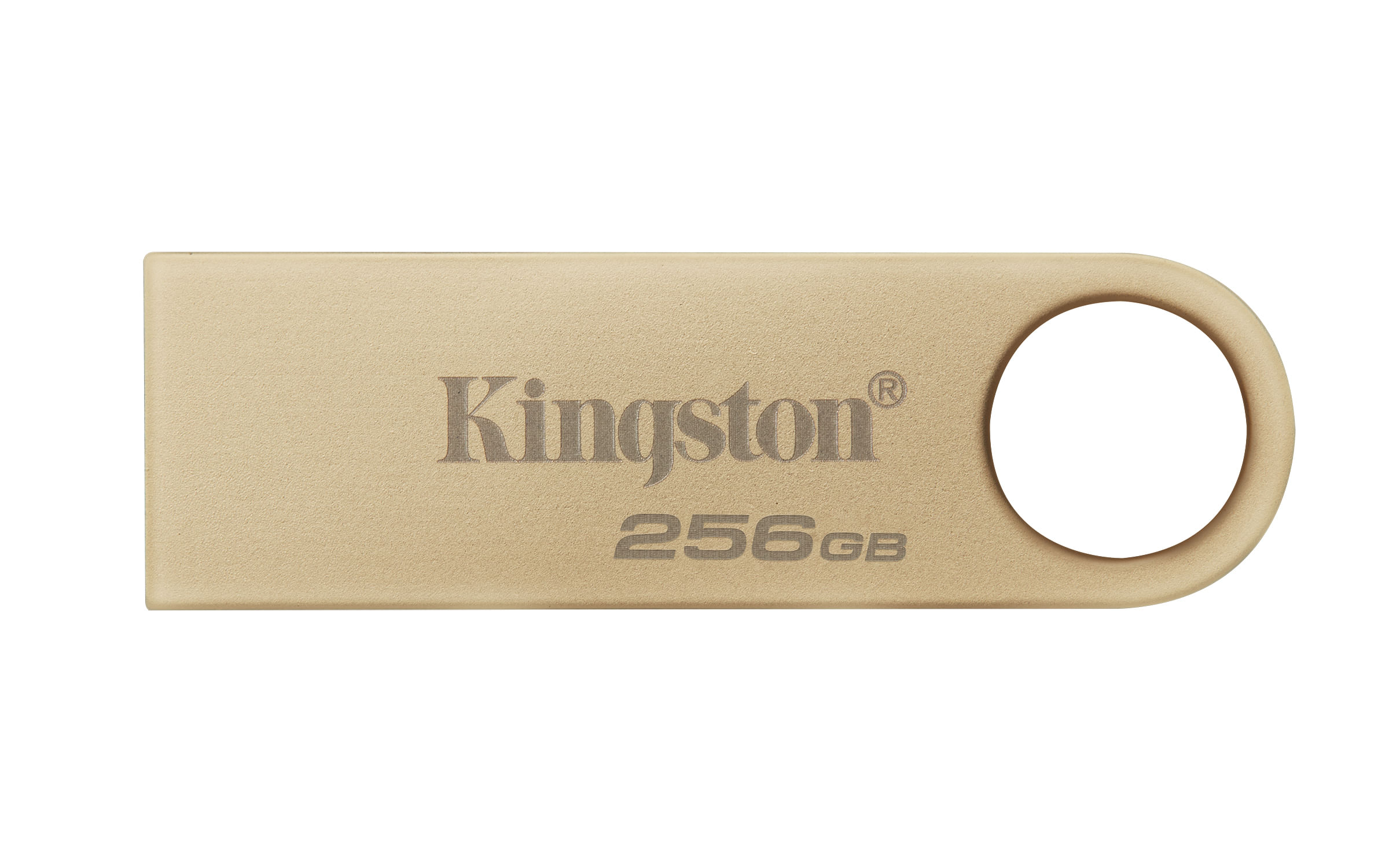 Kingston Technology DataTraveler 256Gb 220MB-s Drive USB 3.2 Gen 1 in Metallo SE9 G3 Kingston Technology DataTraveler 256GB 220MB/s Drive USB 3.2 Gen