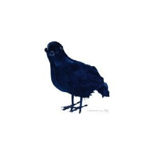 WIDMANN 3063C corvo in piume decorative