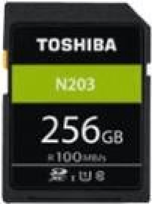 SD Exceria R100 N203 256GB