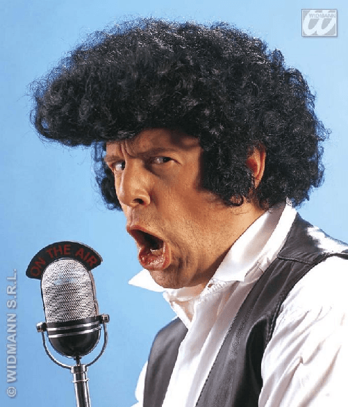 W WIDMANN MILANO Party Fashion WIDMANN Parrucca Rock'N'Roll Con Maxi Ciuffo - In Scatola WIDMANN Parrucca Rock'N'Roll Con Maxi Ciuffo - In Scatola