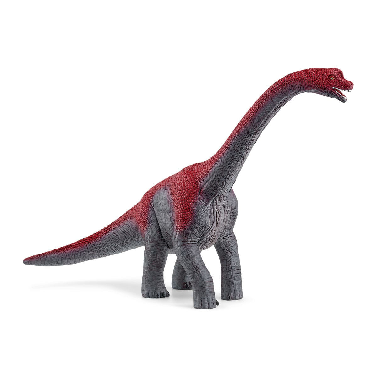 Schleich Dinosaurs 15044 action figure giocattolo (SCHLEICH Dinosaurs Brachiosaurus Toy Figure 4 to 12 Years Grey/Red 15 schleich Dinosaurs 15044 acti