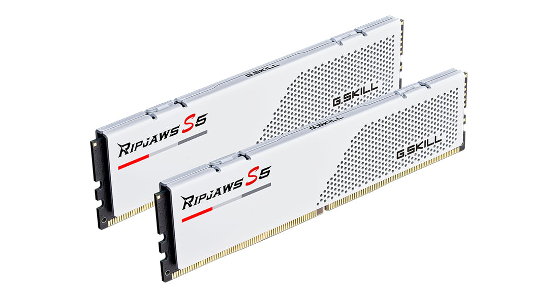 G.Skill Ripjaws F5-5600J2834F16GX2-RS5W memoria 32 GB 2 x 16 GB DDR5 5600 MHz