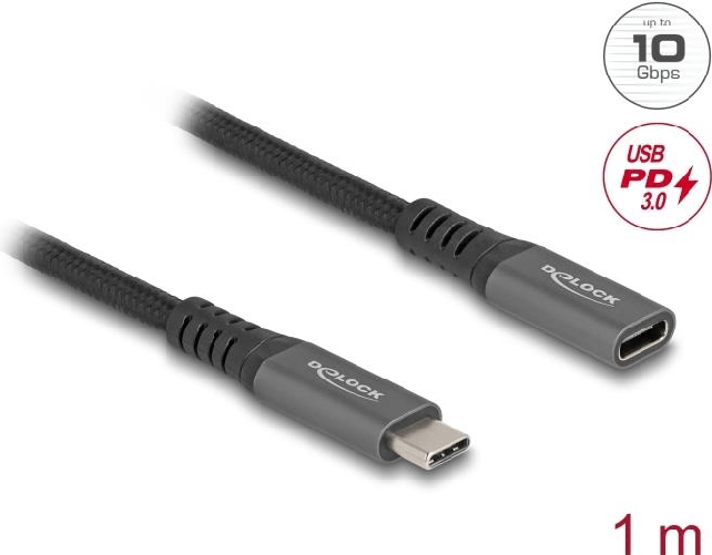 DeLOCK Cavo di prolunga USB 10 Gbps USB Type-C maschio a femmina PD 3.0 100 W 1 m grigio metallo