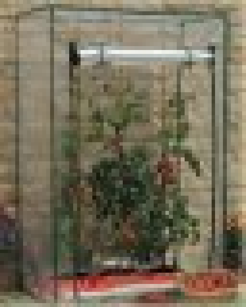 Serra per pomodori in acciaio e pvc trasparente con doppia cerniera 50x100 h.100cm Fredi