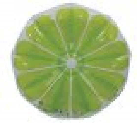 Materassino gonfiabile a forma di fetta limone 178x98cm Fredi