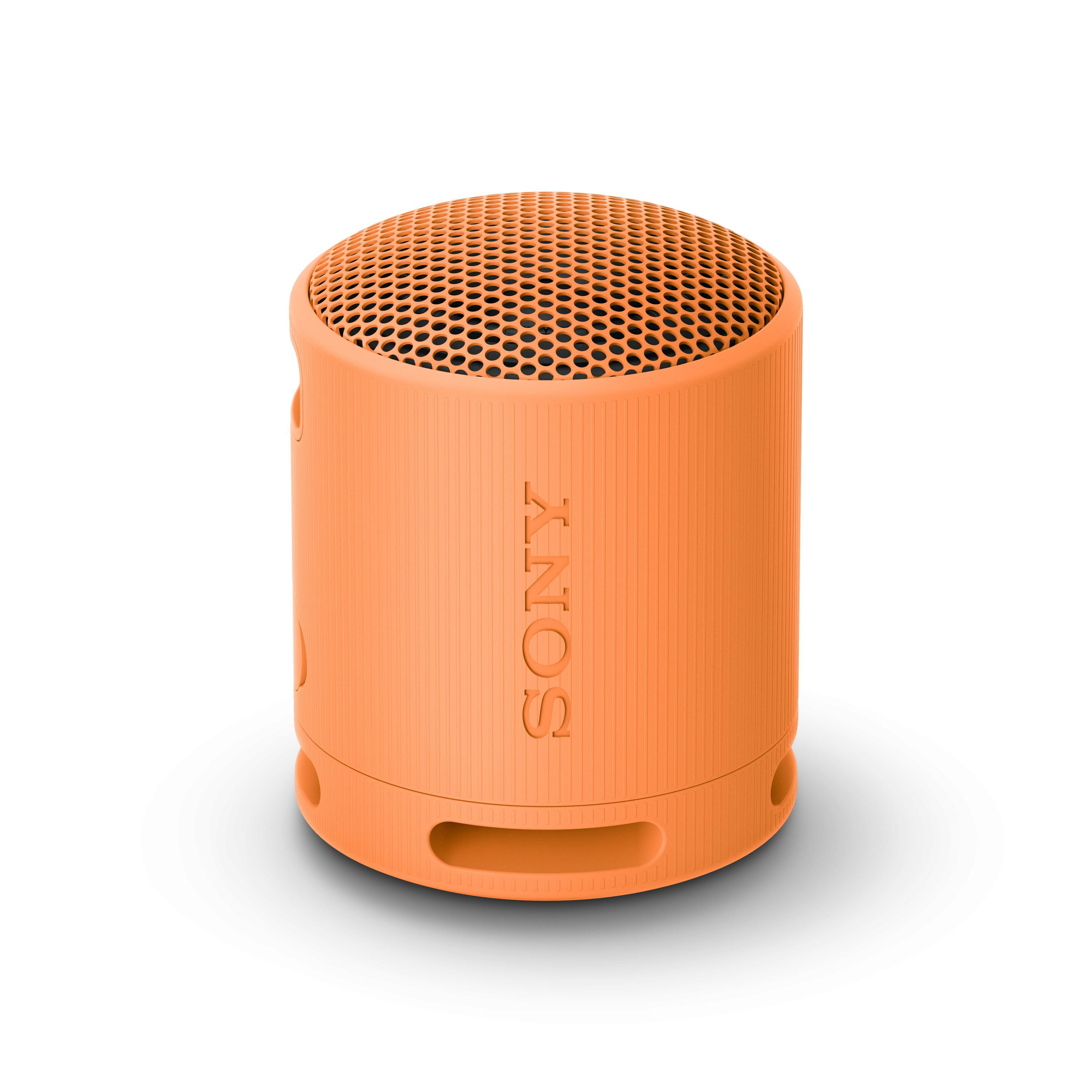 Sony SRS-XB100 - Speaker Wireless Bluetooth, portatile, leggero, compatto, da esterno, da viaggio Sony SRS-XB100 Speaker Wireless Bluetooth Portatile