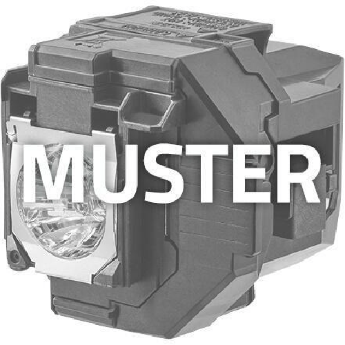 Neutral Lampada proiettore per Epson sostituita ELPLP87/V13H010L87 Compatibile con lampadina originale