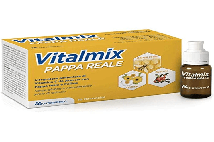 vitalmix - pappa reale