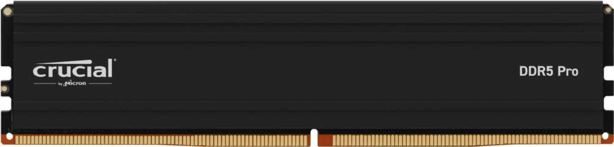 Crucial CP16G60C48U5 memoria 16 GB 1 x 16 GB DDR5 6000 MHz (16GB Crucial Pro DDR5-6000 UDIMM CL46 16Gbit) Crucial CP16G60C48U5 memoria 16 GB 1 x 16 GB