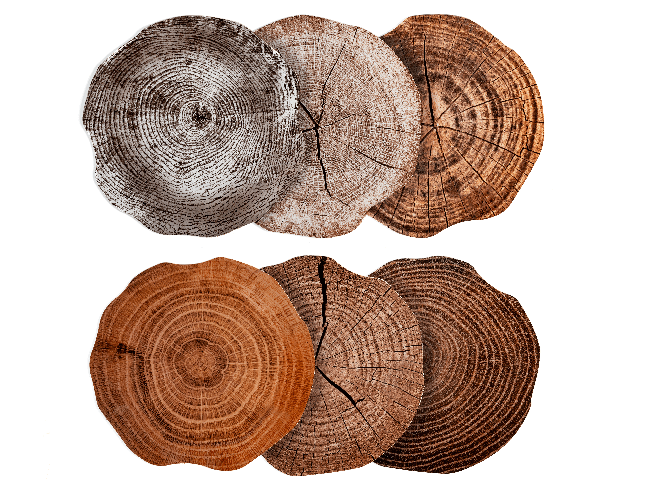 Set Tovagliette Tonde Albero 38 Polipropilene/Sughero