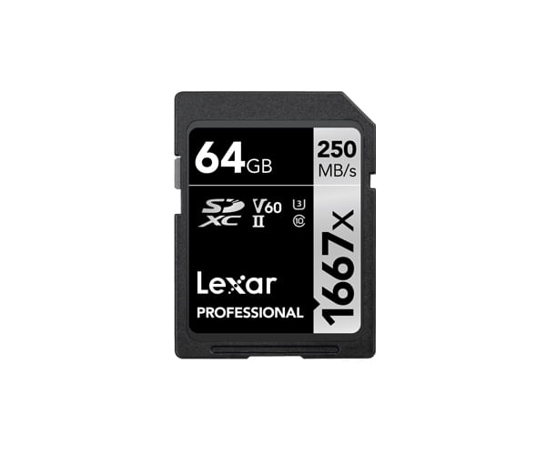 Lexar SDXC - Scheda di memoria da 64 GB Classe 10 UHS-II (LSD64GCB1667) Lexar SDXC, 64 GB UHS-II Classe 10