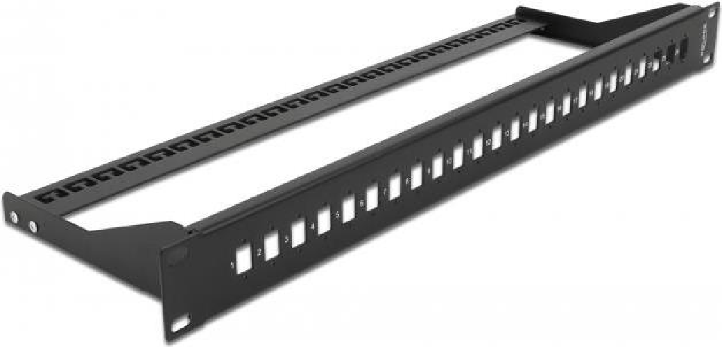 Delock - Pannello patch (piastra cieca) - Montabile in rack - Nero - 1U - 483 cm (19") - 24 porte